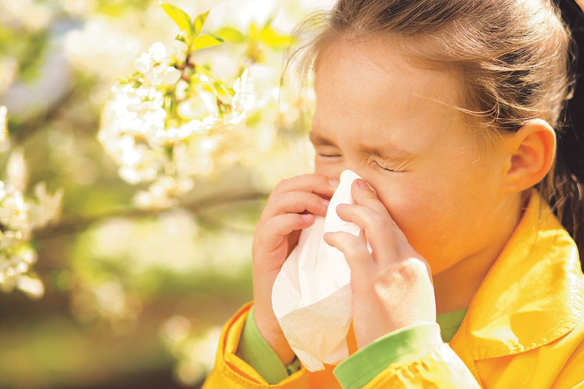 MiteGuard dust mite allergen information