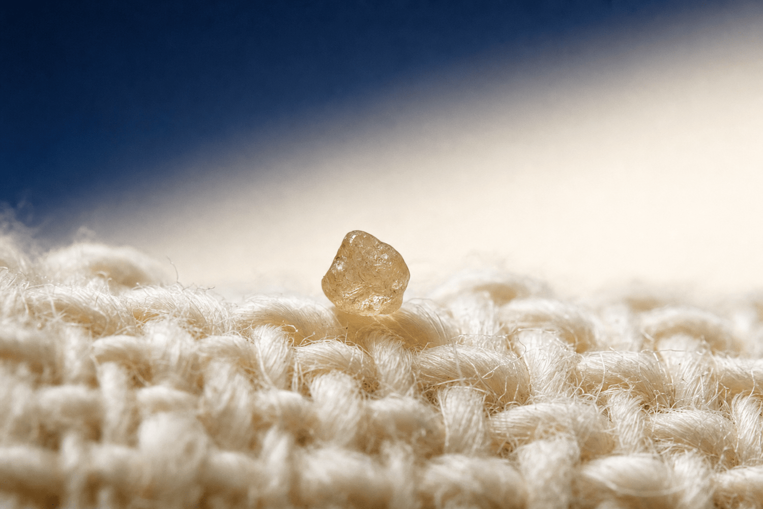Can You See Dust Mites? The Real Scale of What's in Your Bedding - MiteGuard