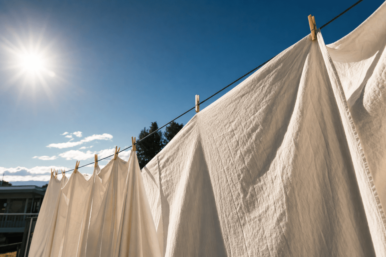 What Actually Kills Dust Mites? A Science-Backed Breakdown - MiteGuard