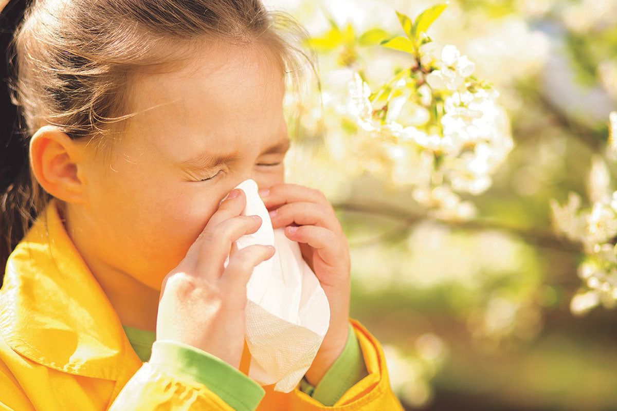 Reduce allergy symptoms with MiteGuard Dust Mite Protection